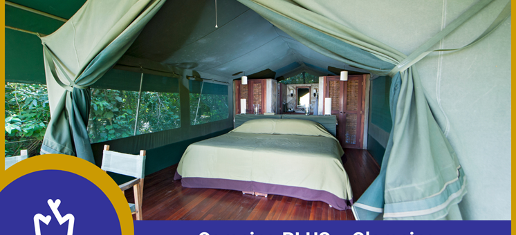 Camping with that certain something - From camp spots, glamping and lodge tents - glamping.info