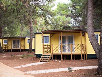 Luxury camping - Croatia - Campingplatz Pineta - Meinmobilheim Vanga auf dem Campingplatz Pineta