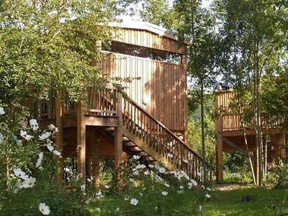 Luxury camping - Terrasse - Haute Loire - CosyCamp Lodgezelte auf CosyCamp