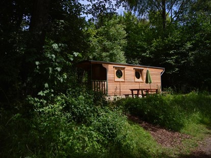 Luxury camping - Kochmöglichkeit - Seenplatte - Wurlwagen - Naturcampingpark Rehberge Wurlwagen mit Seeblick - Naturcampingpark Rehberge