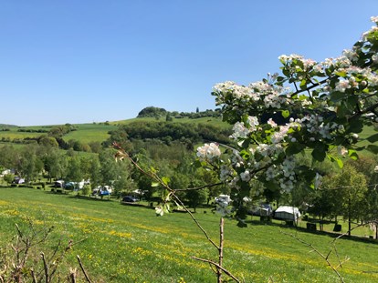 Luxury camping - Preisniveau: moderat - Moselle / Müllerthal / Grevenmacher - Camping Neumuhle - Camping Neumuehle Muellerthal Titania MobilHeim, Camping Neumuehle Muellerthal. 6 Person. Douche Wc.