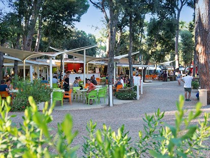 Luxury camping - Kaffeemaschine - Marina di Castagneto - Camping Etruria - Vacanceselect Mobilheim Moda 6 Personen 3 Zimmer Klimaanlage 2 Badezimmer von Vacanceselect auf Camping Etruria