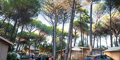 Luxuscamping - Lucca - Pisa - Camping Etruria - Vacanceselect Lodgezelt Deluxe 5/6 Personen 2 Zimmer Badezimmer von Vacanceselect auf Camping Etruria