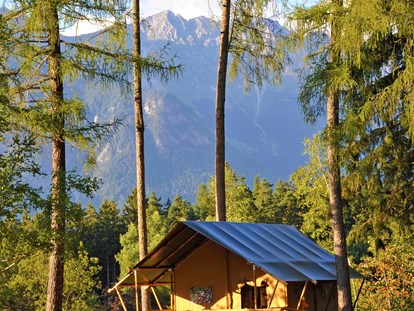 Luxury camping - Terrasse - Safari-Lodge-Zelt "Lion" - Nature Resort Natterer See Safari-Lodge-Zelt "Lion" am Nature Resort Natterer See