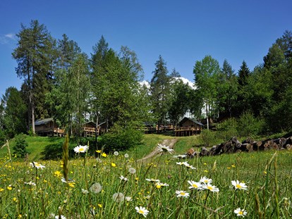 Luxury camping - Parkplatz bei Unterkunft - Tyrol - Safari-Lodge-Zelte - Nature Resort Natterer See Safari-Lodge-Zelt "Elephant" am Nature Resort Natterer See