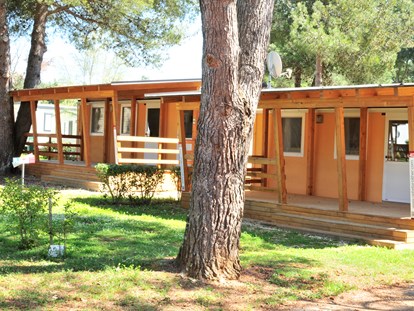 Luxury camping - Kühlschrank - Istria - Camping Valkanela - Gebetsroither Luxusmobilheim von Gebetsroither am Camping Valkanela