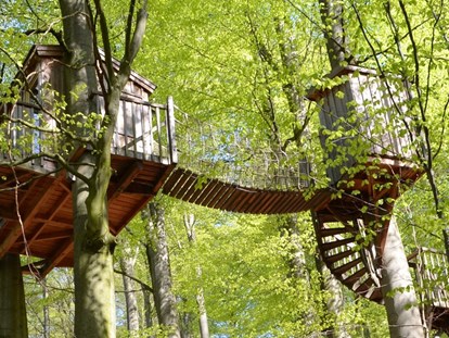 Luxury camping - Unterkunft alleinstehend - Baumhaus Baumtraum in sieben Metern Höhe. - Baumhaushotel Solling Baumhaushotel Solling