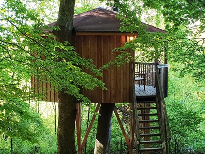Luxuscamping - Terrasse - Deutschland - Baumhaus Rundhaus, hier wächst eine echte Buche durchs Baumhaus. - Baumhaushotel Solling Baumhaushotel Solling