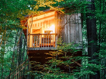 Luxury camping - Unterkunft alleinstehend - Baumhaus Freiraum, mit Bett zum rausschieben. - Baumhaushotel Solling Baumhaushotel Solling