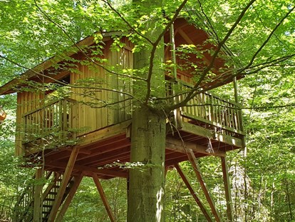 Luxury camping - Unterkunft alleinstehend - Baumhaus Refugium für zwei Personen. - Baumhaushotel Solling Baumhaushotel Solling