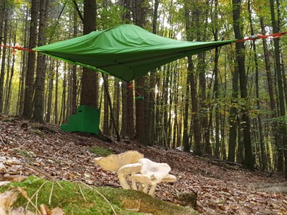 Luxuscamping - Hunde erlaubt - Niedersachsen - Abenteuerlich übernachten im Baumzelt. - Baumhaushotel Solling Baumhaushotel Solling