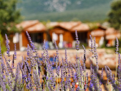 Luxury camping - Heizung - Rhone-Alpes - Domaine de Sévenier Chalets auf Domaine de Sévenier