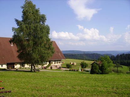 Luxuscamping - Gartenmöbel - Baden-Württemberg - Aussicht - Podhaus am Äckerhof -  Mitten im Schwarzwald Podhaus am Äckerhof -  Mitten im Schwarzwald