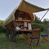 Luxuscamping: Der Planwagen - Ecolodge Hinterland: Western Lodge