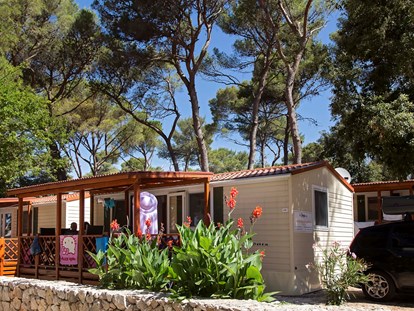Luxury camping - Parkplatz bei Unterkunft - Dalmatia - Camping Park Soline Mobilheim Shelbox Tavolara auf Camping Park Soline