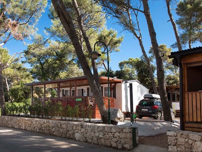 Luxury camping - Kochmöglichkeit - Dalmatia - Camping Park Soline Mobilheim Shelbox Tavolara auf Camping Park Soline
