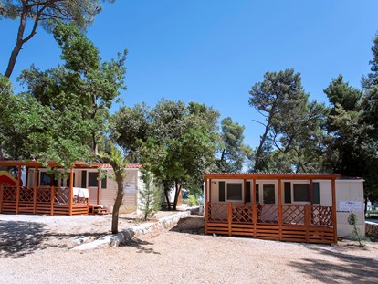 Luxury camping - Dusche - Dalmatia - Camping Park Soline Mobilheim Shelbox Tavolara auf Camping Park Soline