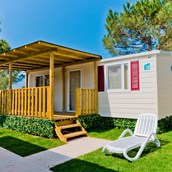 Luxuscamping: Le Palme Camping: Le Palme Camping - Mobilheim Lux
