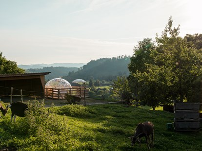 Luxury camping - Terrasse - Lebenshof im Emmental Adventurly Bubble-Suite auf Lebenshof im Emmental