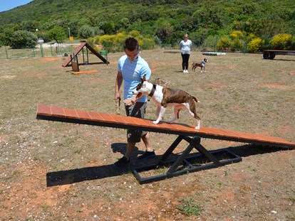 Luxuscamping - Unterkunft alleinstehend - Cres - Lošinj - Camping mit Hund Projekt - Camping Slatina Freedhome Mobilheime auf Camping Slatina