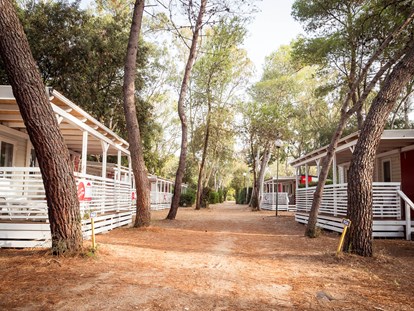 Luxury camping - Sessa Aurunca - Camping Baia Domizia - Gebetsroither Luxusmobilheim von Gebetsroither am Camping Baia Domizia