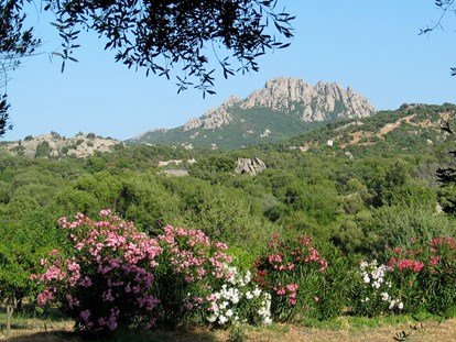 Luxuscamping - Umgebungsschwerpunkt: am Land - Italien - auf dem privaten Grundstück - Königszelt in Sardinien