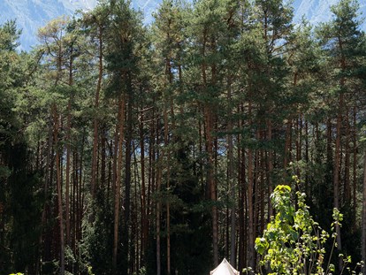 Luxuscamping - Lagerfeuerplatz - Österreich - Glampingzelt mit privater Holzterrasse in idyllischer Lage - Camping Gerhardhof