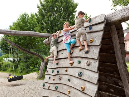 Luxuscamping - Spielraum - Abenteuerspielplatz für lebendige Kinder - Schwarzwälder Hof