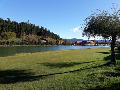 Luxuscamping - Umgebungsschwerpunkt: Berg - Das Ufer des Pirkdorfer Sees lädt zum relaxen ein. - Lakeside Petzen Glamping Resort