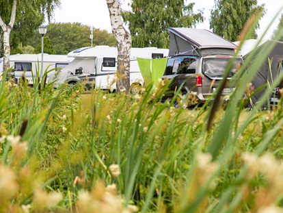 Luxury camping - Umgebungsschwerpunkt: Strand - Natur-Strand-Erholung - ostseequelle.camp