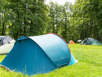 Luxury camping - öffentliche Verkehrsmittel - Zeltwiese am Wald mit freier Platzwahl. - ostseequelle.camp