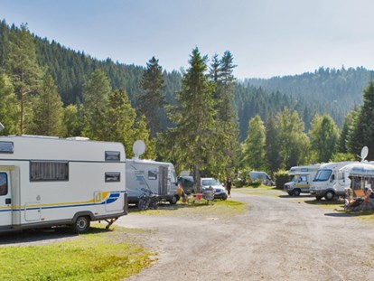 Luxury camping - Langlaufloipe - Camping Bankenhof
