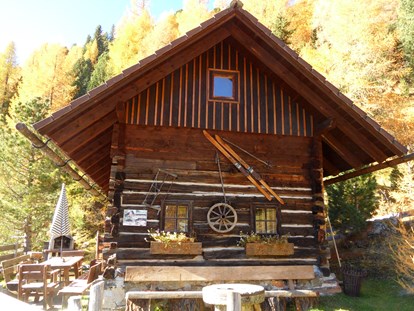Luxuscamping - Ortszentrum - Österreich - Die Petra Hütte mit Platz für 7 Personen - Bergheim Schmidts Almhütten und Stellplätze