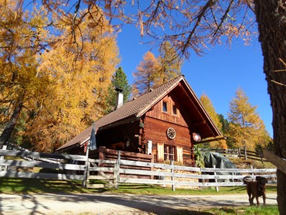 Luxuscamping - Sauna - Österreich - Die Stephan Hütte mit Platz für 3 Personen - Bergheim Schmidts Almhütten und Stellplätze