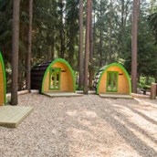 Luxuscamping: Pod-Area - Waldcamping Brombach: Family Pod am Waldcamping Brombach