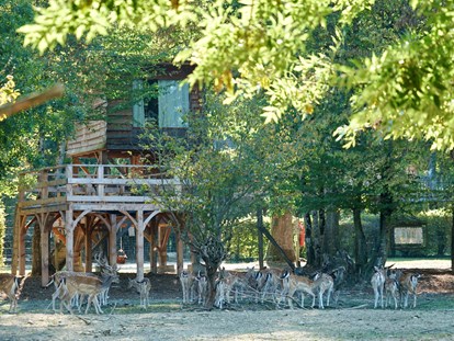 Luxury camping - Hunde erlaubt - Ain - Baumhaus - Domaine de la Dombes Baumhaus auf Domaine de la Dombes