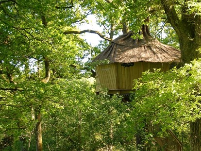 Luxury camping - Loir et Cher - Baumhaus von außen - Domaine des Alicourts Baumhaus für 2 Personen auf Domaine des Alicourts