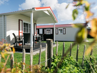 Luxury camping - Preisniveau: gehoben - Nordseeküste - Außenansicht Chalets - Nordsee-Camp Norddeich Chalet Park Nordsee-Camp Norddeich