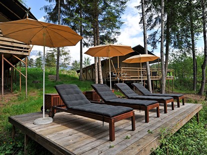 Luxury camping - Preisniveau: exklusiv - Tyrol - Safari-Lodge-Zelt "Zebra" - Nature Resort Natterer See Safari-Lodge-Zelt "Zebra" am Nature Resort Natterer See