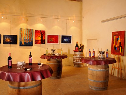 Luxuscamping - Kochmöglichkeit - Aude - Domaine La Yole Wine Resort Mobilheim Chardonnay auf Domaine La Yole Wine Resort