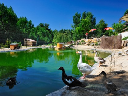 Luxury camping - Gartenmöbel - Aude - Domaine La Yole Wine Resort Lodgezelt Euphoria auf Domaine La Yole Wine Resort