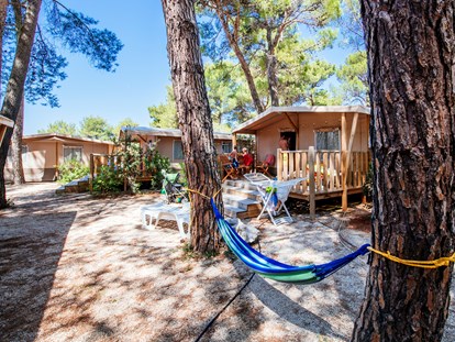 Luxury camping - Sonnenliegen - Croatia - Safari Lodge - Zaton Holiday Resort Glamping Zelte auf Zaton Holiday Resort