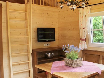 Luxury camping - Kühlschrank - Ferienhütte "Schafberg": gemütliche Sitzecke mit Fernseher (SAT-Anlage) und Aufgang zur Galerie mit Schlafmöglichkeit - CAMP MondSeeLand Ferienhütten am CAMP MondSeeLand