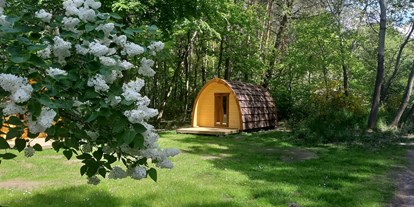 Luxury camping - Kochmöglichkeit - Vorpommern - Naturcamping Malchow Naturlodge auf Naturcamping Malchow