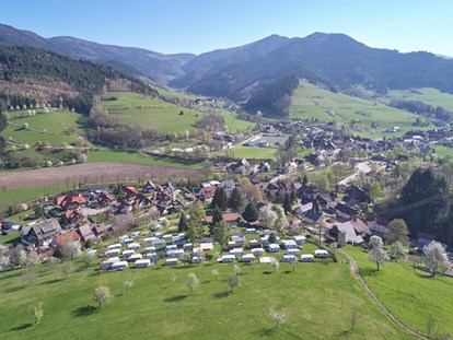 Luxuscamping - Baden-Württemberg - Camping Schwarzwaldhorn Schwarzwald-Lodge auf Camping Schwarzwaldhorn