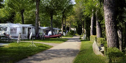 Luxury camping - Sonnenliegen - Gardasee - Glamping auf Camping Bella Italia - Camping Bella Italia - Suncamp SunLodge Maple von Suncamp auf Camping Bella Italia