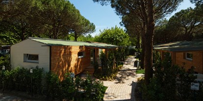 Luxury camping - Terrasse - Venedig - Glamping auf Italy Camping Village - Camping Italy - Suncamp SunLodge Jungle von Suncamp auf Italy Camping Village