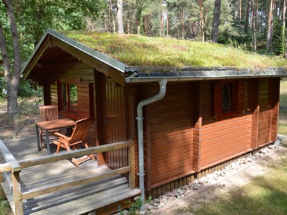 Luxury camping - Preisniveau: günstig - Seenplatte - Ferienhaus Rosalie - Naturcampingpark Rehberge Ferienhaus Rosalie am Wurlsee - Naturcampingpark Rehberge