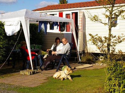 Luxuscamping - Hunde erlaubt - Emsland, Mittelweser ... - Comfortcamping Hase-Ufer Mobilheime auf Comfortcamping Hase-Ufer