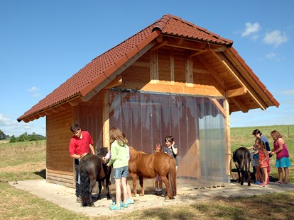 Luxuscamping - Preisniveau: moderat - Deutschland - Streichelzoo - Camping Schüttehof Mobilheime auf Camping Schüttehof